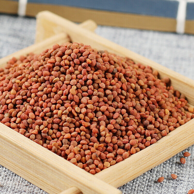 HelloYoung 500g Featured Natural Healthy Herbal TeasChu Shizi Top Quality Health Care 精选楮实子