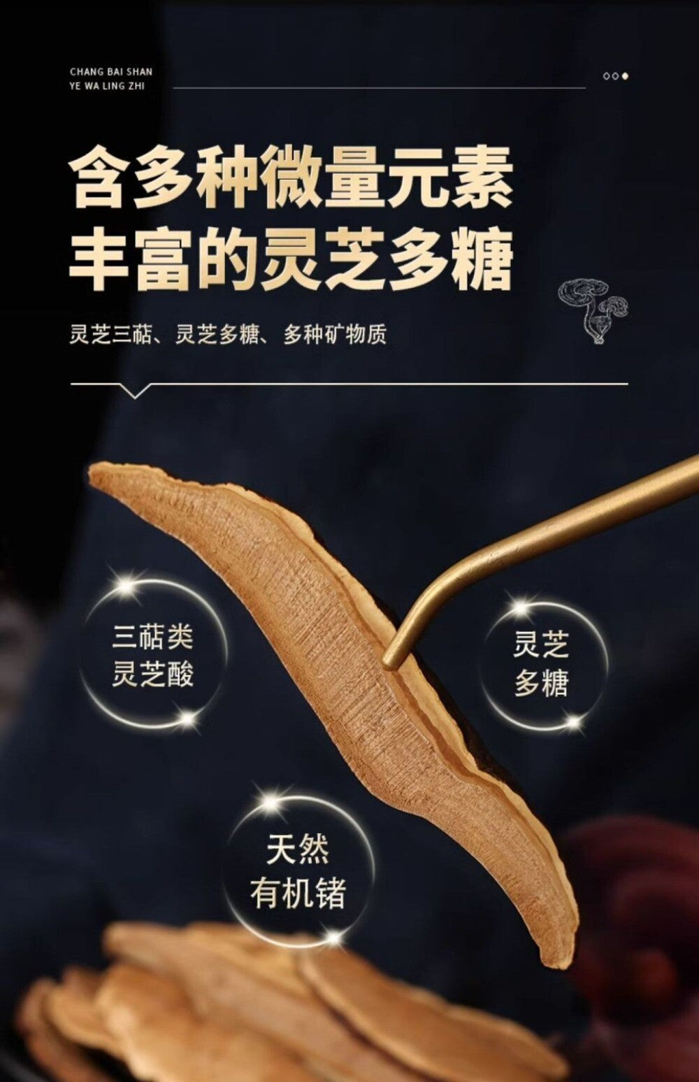 Wild Changbai Mountain Red Reishi Slices 45g Pure Sulfur Free No Additives