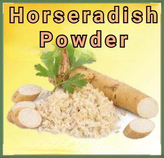Horseradish Powder - Organic Superfood (Armoracia Rusticana) Main image