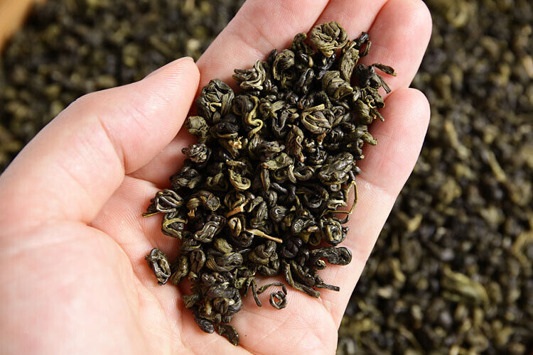 HelloYoung 500g Yunnan green tea Ming Qian two leaves Biluochun 1strong fragrant spring tea
