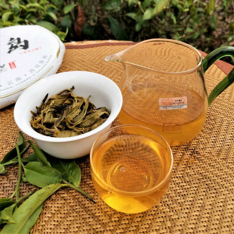 Icelandic Bingdao Ancient Tree Pu-erh Tea High Quality Cha Pu'er Tea Cake 357g Main image
