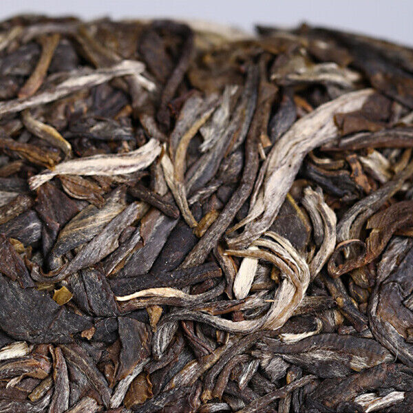 HelloYoung Haiwan High Mountain Puerh Tea Ancient Tree Comrade Batch 191 Cha Puer Tea 500g