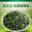 Minggulan Biluochun Green Tea Spring Tea Buds Canned 80G  Fragrant and Sweet