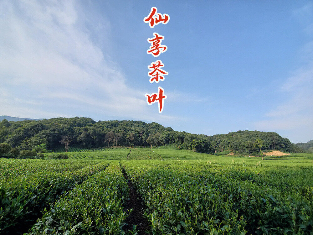 HelloYoung New Worker's Black Tea Strong Aroma Brew Resistant Alpine Tea 500g/1.1lb