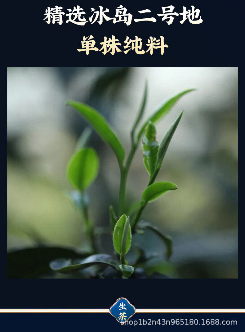 HelloYoung Icelandic Single Plant Single Cake Gift Boxed 357g Raw Tea Ancient Sole Plant