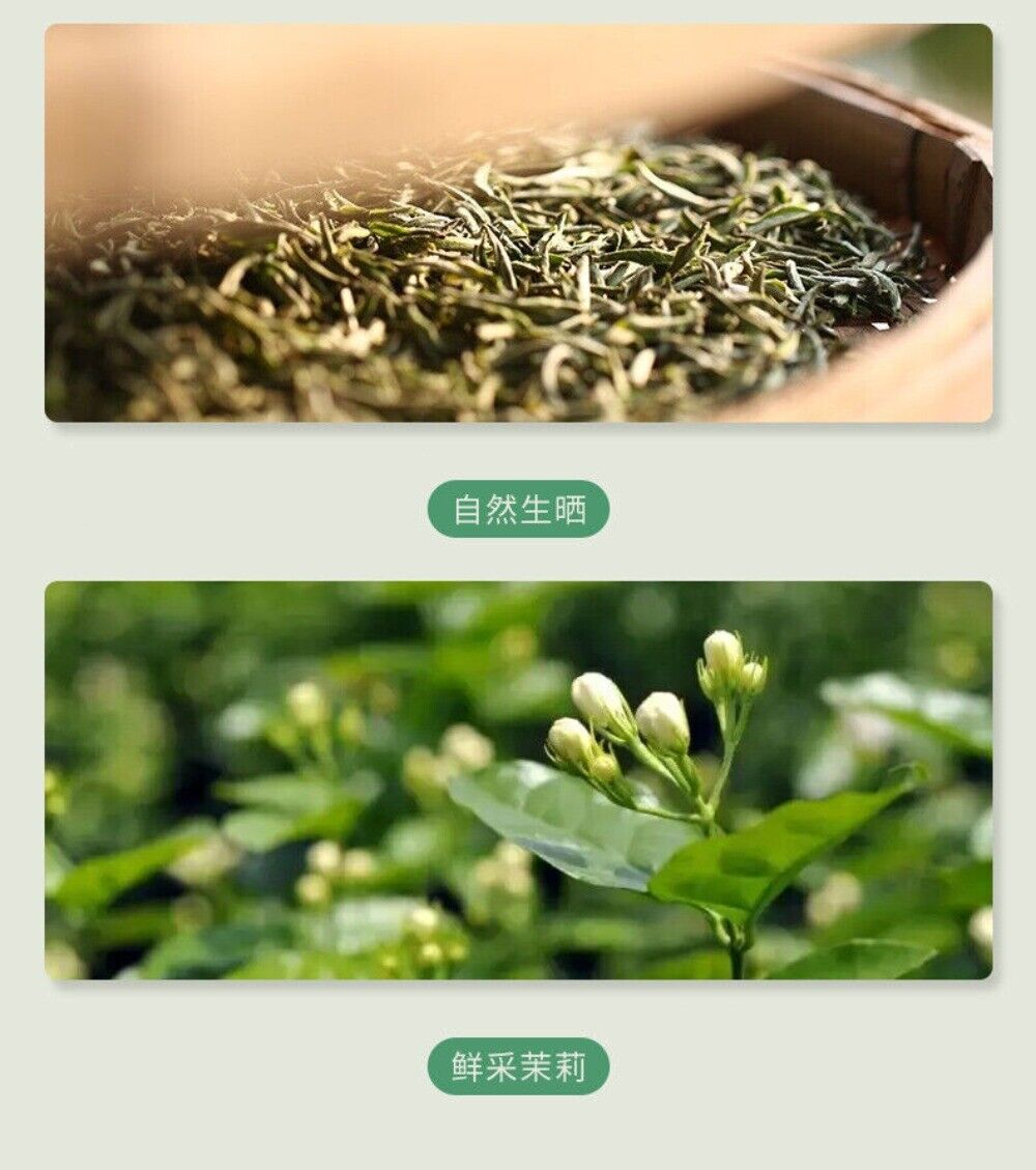 2025 Xinyang Maojian Jasmine Tea 250g Premium Loose Leaf Fragrant