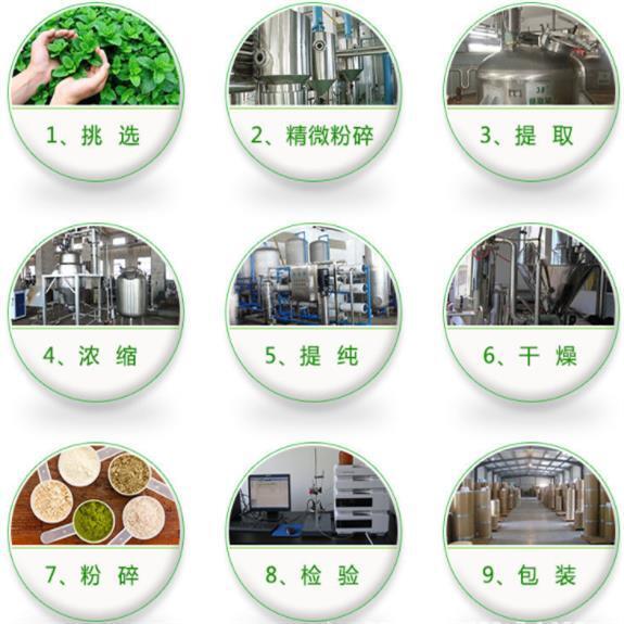 Clove Extract Powder 10:1 Water Soluble Eugenia Caryophyllata Herbal Tea