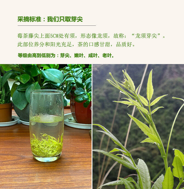 Wild Tea Buds 50g Canned Zhangjiajie Vine Tea Tujia Mao Rock Bud Tip Vine Tea