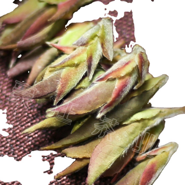 HelloYoung Yunnan Pu'er Tea Purple Buds Early Spring New Tea MingQian Spring Tea Nectar Tea