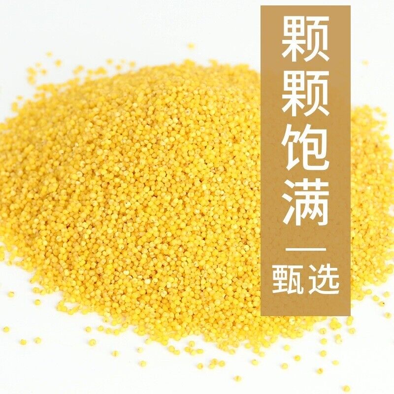 HelloYoung Yellow Millet Shandong Golden Millet He Lai Xiang Baby Children High-fiber 500g