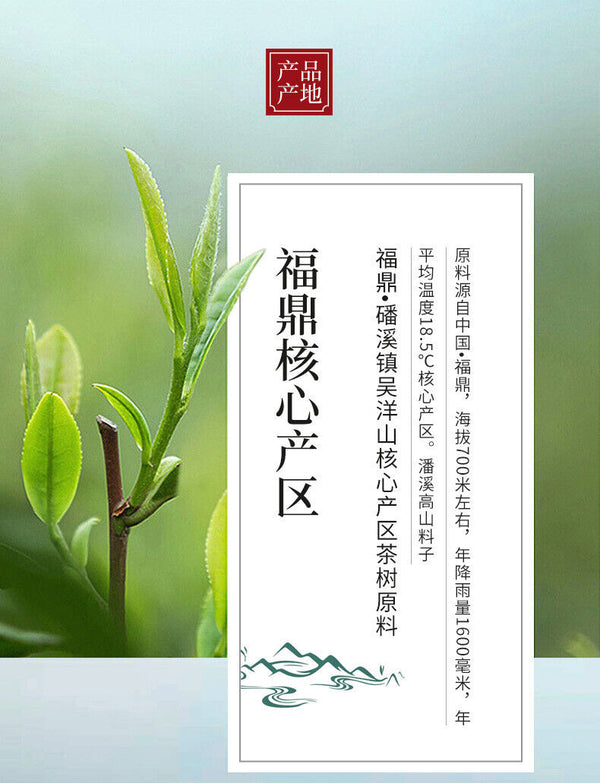 HelloYoung 350g Fuding White Tea Panxi Gongmei Shoumei Gaoshan Sunshine Old White Tea Cake