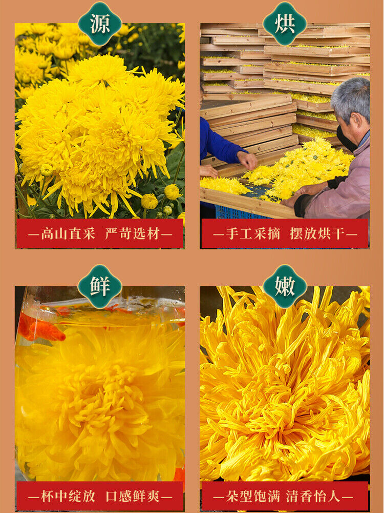 Premium Chrysanthemum Tea One Bud One Cup/Relieve Heat/Top Grade&Silver Flower