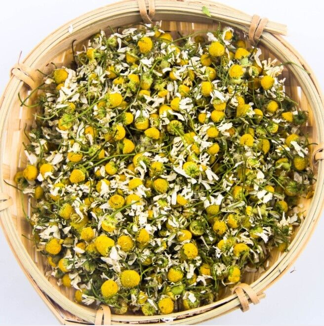 Herbal Tea Dried Chamomile Flowers Tea Bud Tasty Organic Chamomile Tea 500g Main image