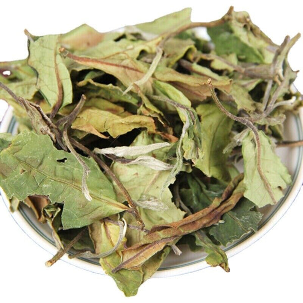 500g Bulk White Tea Top Yunnan Big Leaf Honey Flavour White Tea Health