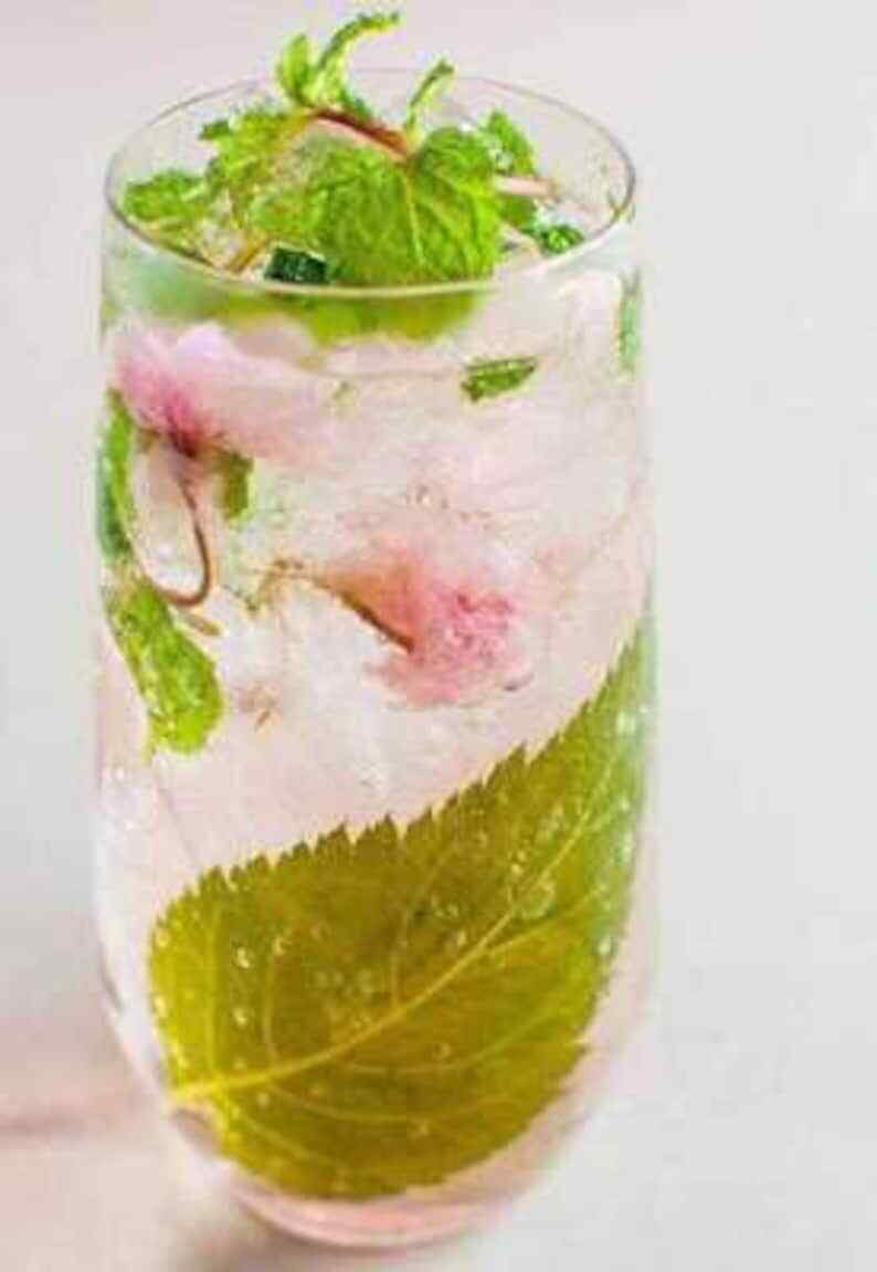 50g Japanese Traditional Salted Sakura Cha Cherry Blossoms Preserved Flower Tea