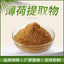 Wild Mint Powder - High Menthol Content (Lab Tested) - Pure Herbal Supplement