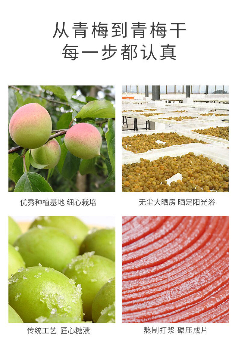Natural Flavor Snacks Small Pack Japanese Style Plum Slices