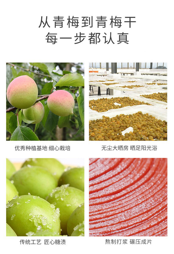 Natural Flavor Snacks Small Pack Japanese Style Plum Slices