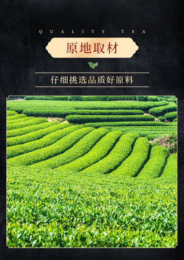 50g Chajindao Biluochun Green Tea Mingqian Loose Tea Good Tea