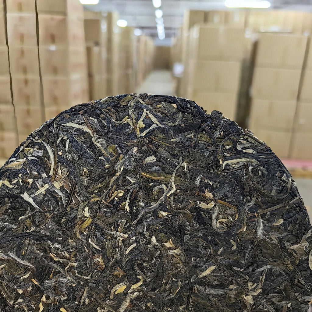 120g Hand-Torn Raw Tea Yunnan Pu-erh Tea - Lincang Bingdao Ancient Tree