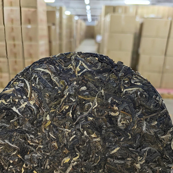 120g Hand-Torn Raw Tea Yunnan Pu-erh Tea - Lincang Bingdao Ancient Tree
