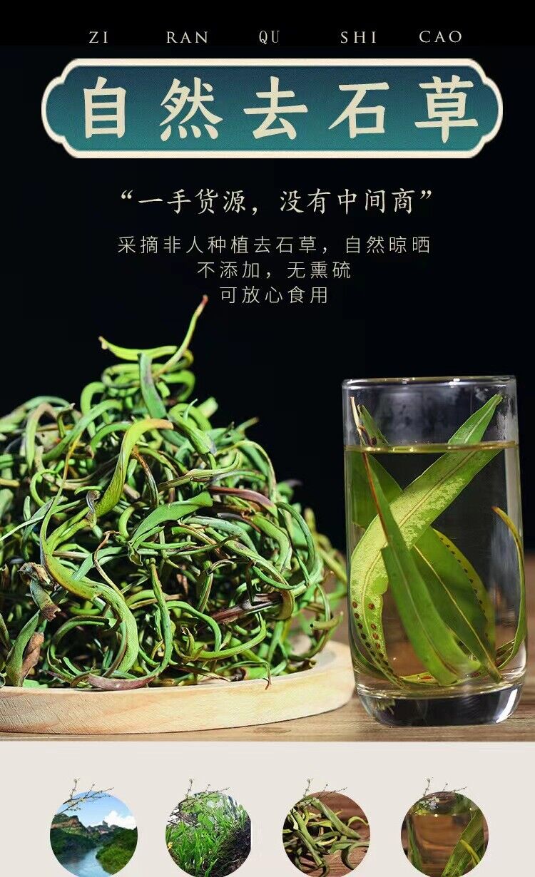Orthosiphon Aristatus Golden Grass Tea 50g Canned - Kidney Health Herbal Tea