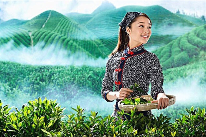 100g Matcha Japanese Natural Organic Green Tea Powder Slimming Tea Green Food 抹茶