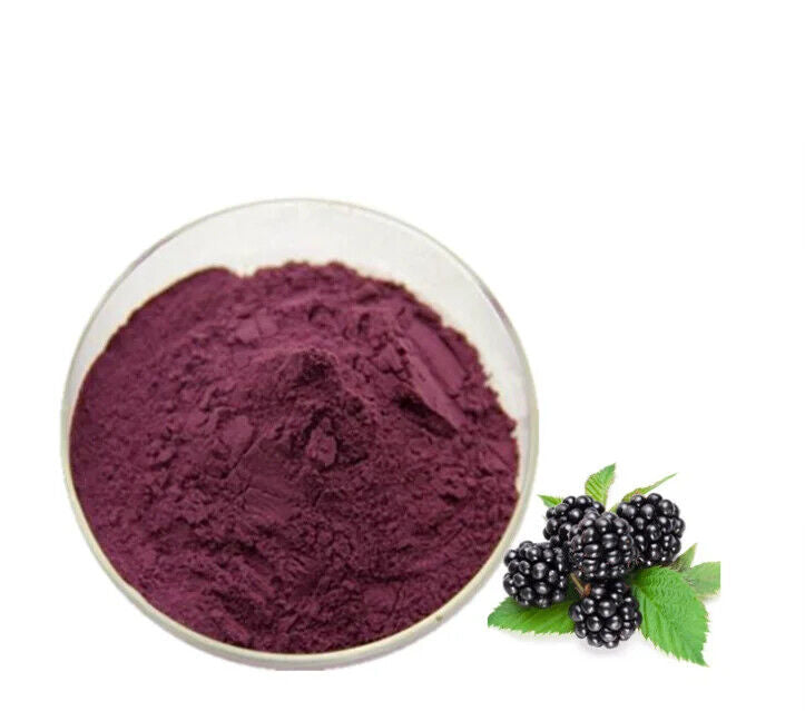 ISO Zertifikat Maulbeeren Pulver Maulbeeren Frucht Pulver Extrakt für Getränk