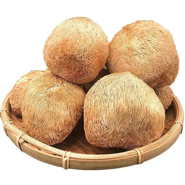 100% Organic Natural Lions Mane Mushroom 250g Hericium Erinaceus Hou Tou Gu 猴头菇 Main image