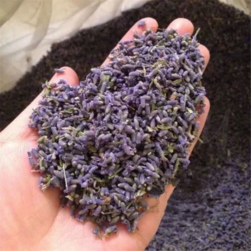 Lavender Tea Dried Flowers Organic Herbal Beauty 50g 100g