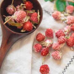 Organic Dried Red Artful Plum Tea, Redartfulplumtea, Hong Qiao Mei Flower Tea