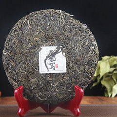 HelloYoung 凤凰窝普洱茶 Organic Genuine Green Tea Health Care High Quality Pu'er Tea 357g