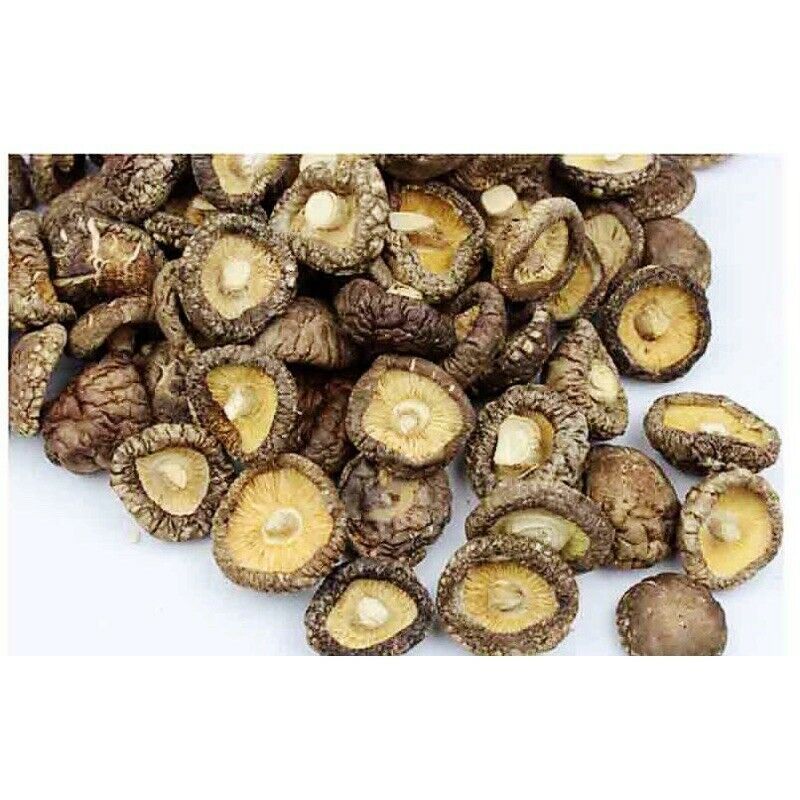 HelloYoung Chinese Dried Mushroom 4-5cm Glossy Mushroom Fujina Winter Dried Shiitake 250g