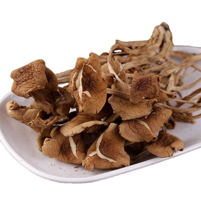 New Premium Dried Tea  Mushroom  Herbal Agrocybe Cylindracea 250g/8.8oz/bag