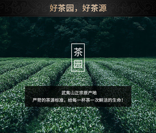 HelloYoung Fujian Wuyi Mountain Jinjunmei Black Tea Zhengshan Xiao Seed Tea 100g/3.52oz