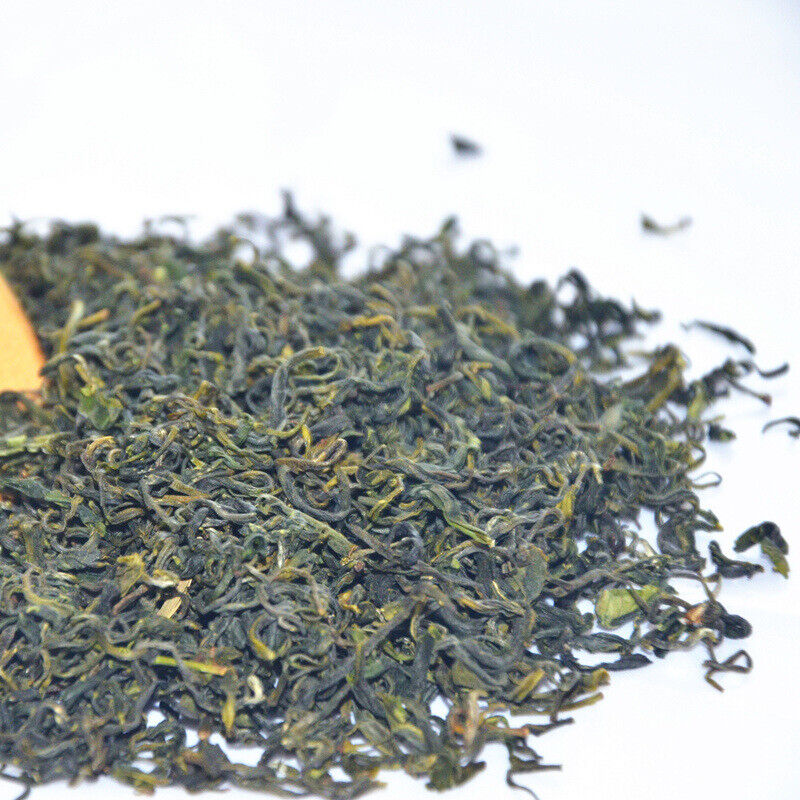 HelloYoung Rizhao Green Tea New Tea Strong Fragrance and Brewing Resistance 500g/1.1lb