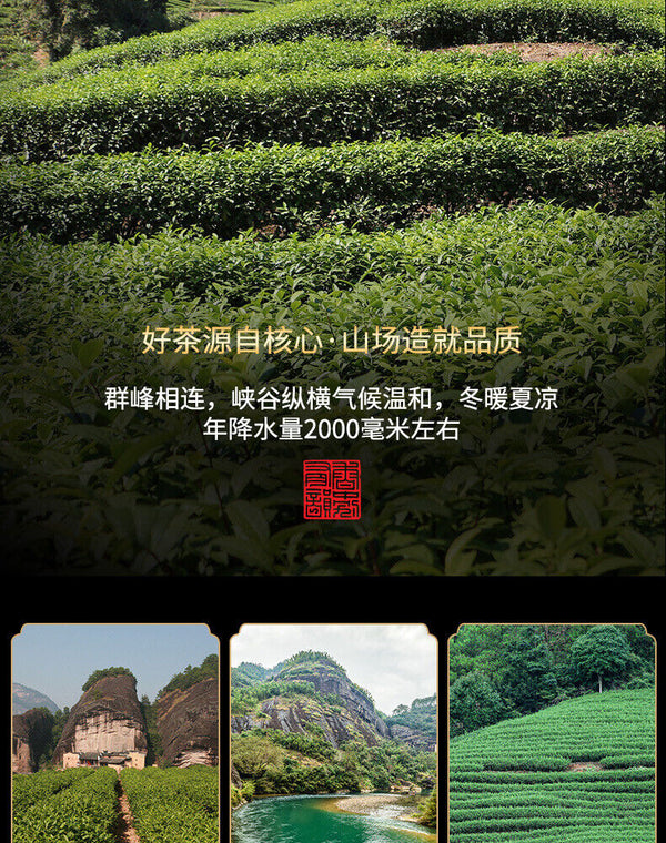 Fujian Wuyi Mountain Dahongpao Oolong Tea Alpine Cinnamon Narcissus Tea Bulk