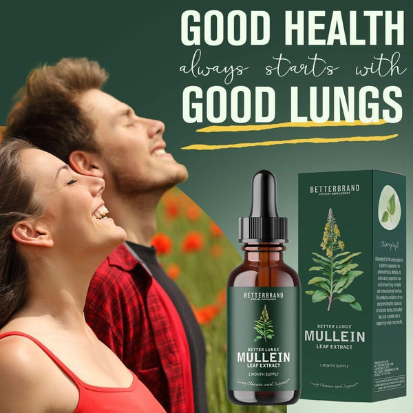 Support a Healthy Lung All-Natural Mullein Leaf Extract Drops for Lung Cleanse