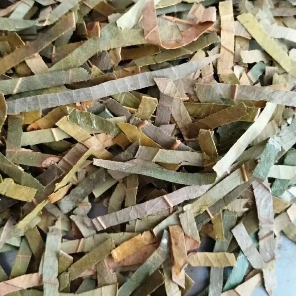 HELLOYOUNG Dry Bay Laurel Leaves Cut (Bay Leaf) - Strong Flavour, Top Grade Main image