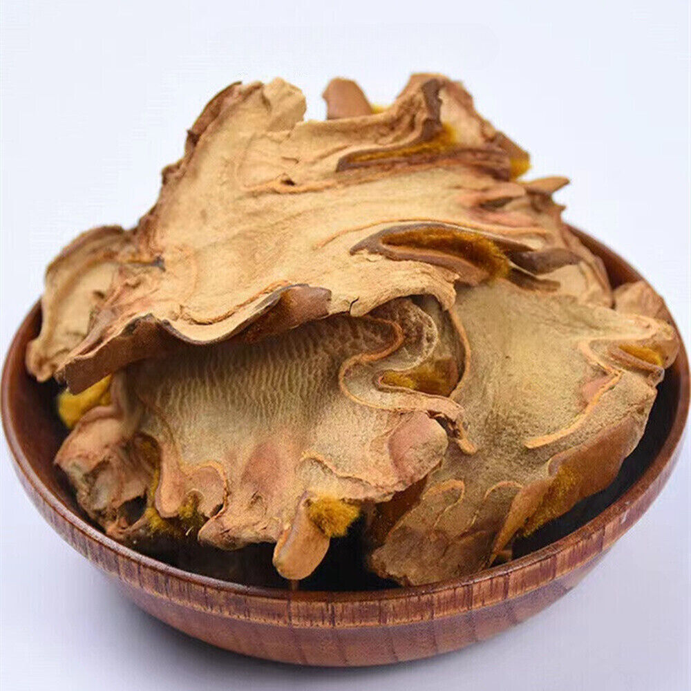 7oz 特级 金狗脊 狗脊 金毛狗脊犬片 中药材 Rhizoma Cibotii Cibotium Barometz 强腰膝祛风湿固肾气下肢酸软无力遗精起夜尿频 Main image
