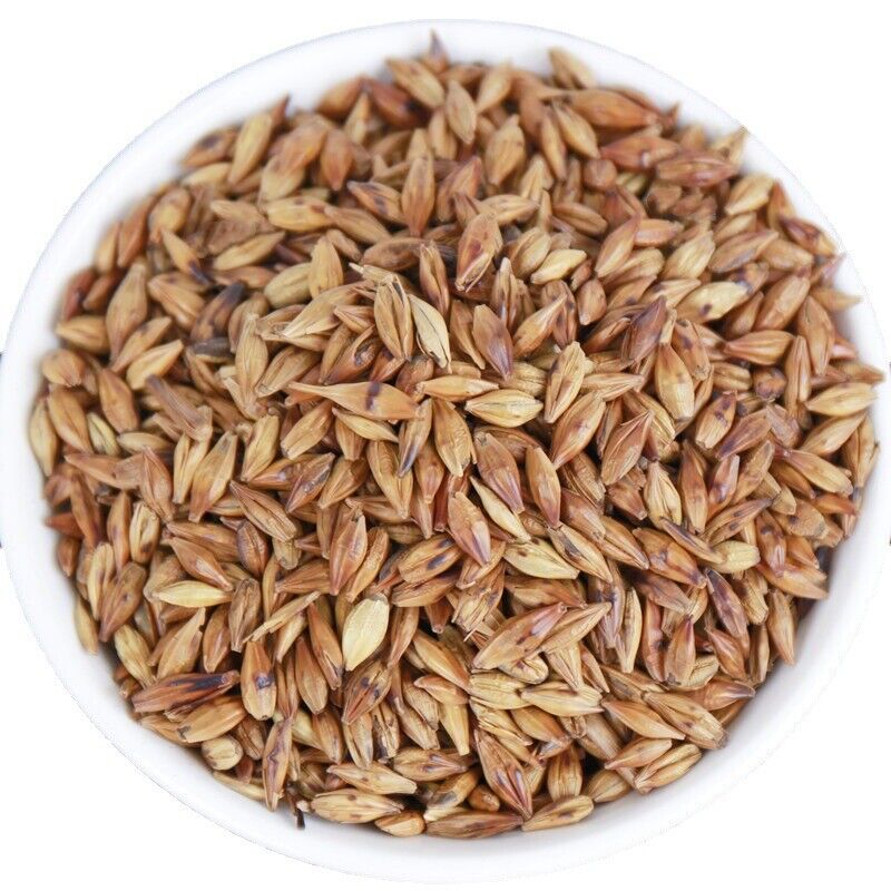 HelloYoung 500g Hot sale Wang He Tang barley tea quality roasted taste mellow