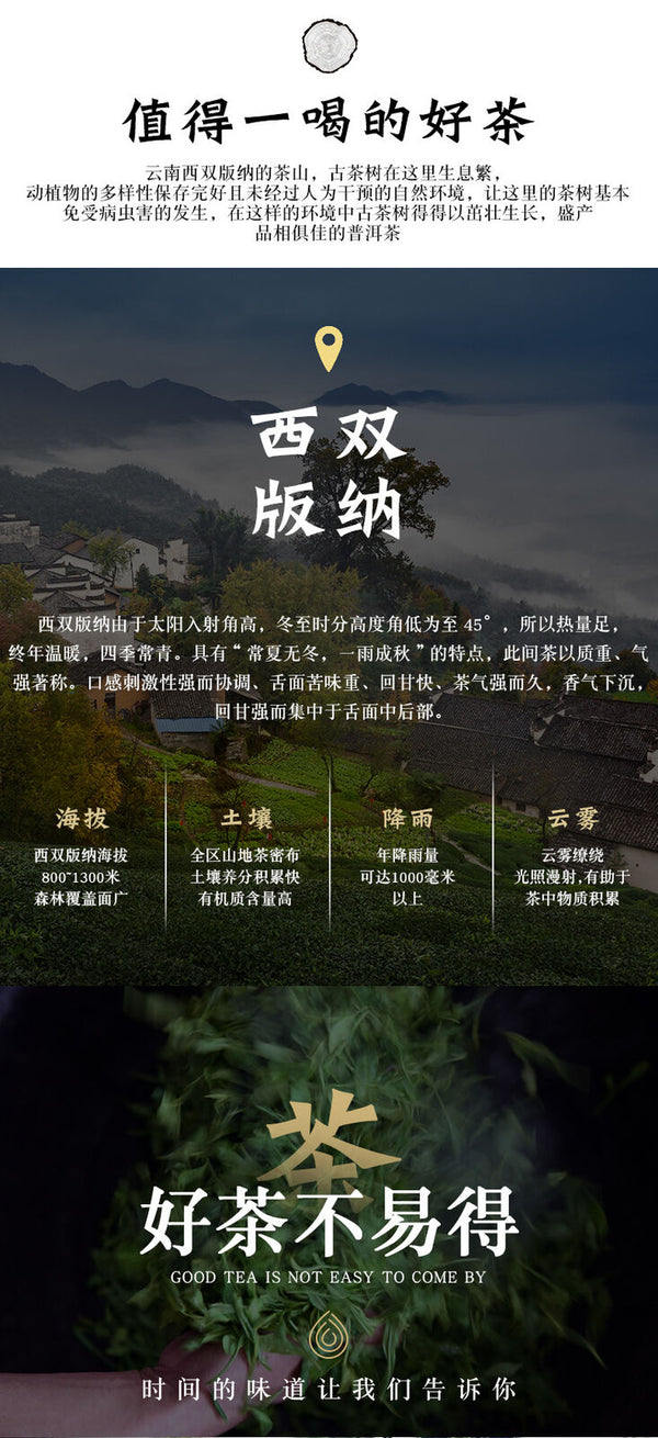 HelloYoung 357g Explosive aged Yiwu ripe tea cake Yunnan seven seed cake tea