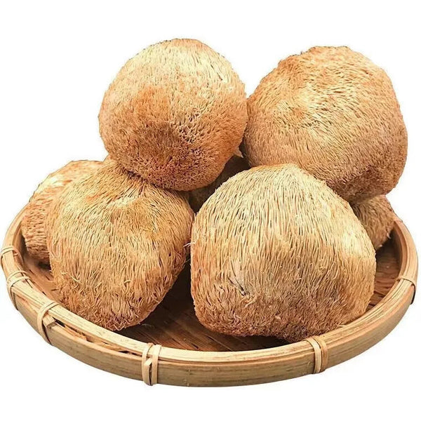 100% Biologische natürliche Löwen Mähne Pilz Hericium Erinaceus Hou Tou Gu 250G