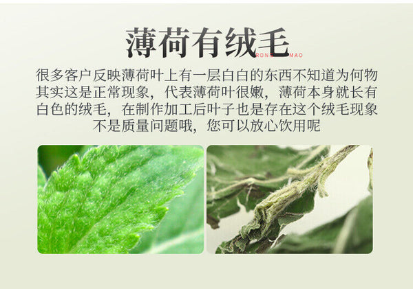 Natural Organic Mint Leaves Refreshing Dried Mint Tea Healthy Drinks