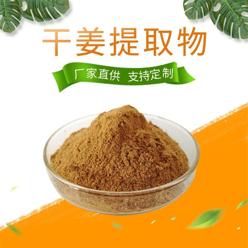 100g Dried Ginger Extract Powder Water Soluble | Warming Herb | Vegan Main image