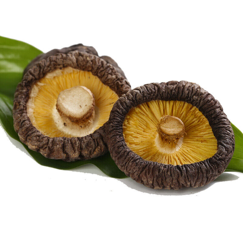 Glossy Mushroom Dried Mushroom 4-5cm Fujina Winter Dried Shiitake 250g/8.8oz