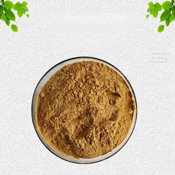 200g Schisandra Berry Extract Powder 10:1 Wu Wei Zi Herbal Supplement