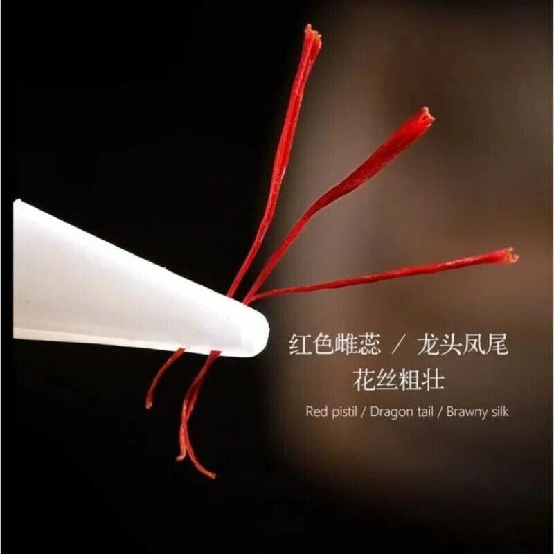 HelloYoung Zang Hong Hua Herb Saffron Crocus Stigma Croci Full Red 0.5g 藏红花 全红花