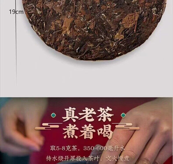 HelloYoung 100g Fuding White Tea Old Shoumei Aged Jujube Herbal White Tea Small Cake