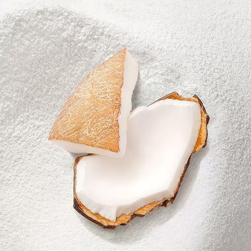 Pure Coconut Powder Instant Original Coconut Milk Powder for Baking Dessert